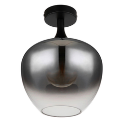 Globo 15548D - Plafonsko svetlo MAXY 1xE27/40W/230V dimljeno