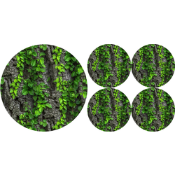 Bertoni Home Unisexs 1+4 Round Table Pads Set Creeper