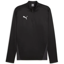 Mikica Puma teamGOAL Training 1/4 Zip Sweatshirt