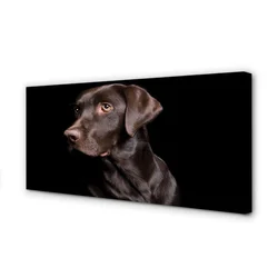 tulup.si Slika na platnu Rjav pes 140x70 cm