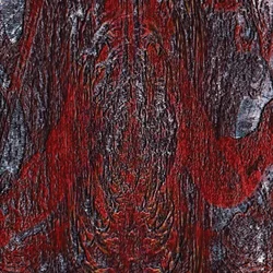 Asfast - The Prime Same (Limited Edition) (High Quality) (Clear /Red Coloured) (LP)