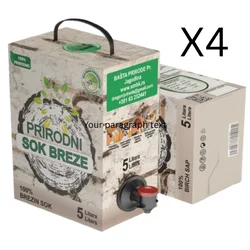 Bašta prirode Prirodni brezin sok, 4 x 5l