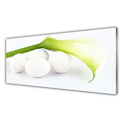 tulup.si Slika na akrilnem steklu Egg na wall 125x50 cm 2 obešalnika