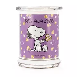 Northix Aromatična Sveča Peanuts v Steklenem Kozarcu, Dišeče Darilo
