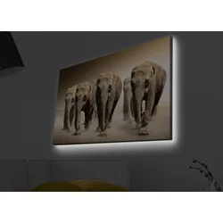 Opviq Slika na platnu sa LED osvetljenjem 45x70cm