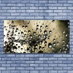 tulup.si Slika na platnu Dandelion rastlin 125x50 cm