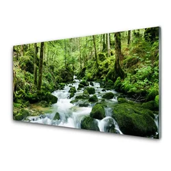 tulup.si Slika na akrilnem steklu Forest stream river falls 120x60 cm 4 obešalnika