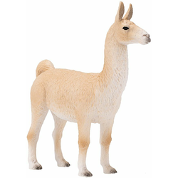 Moja lama