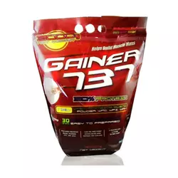 MEGABOL Gainer 737 3000 g jagoda