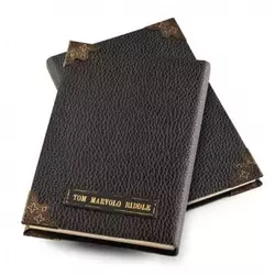 Noble Tom Riddle dnevnik