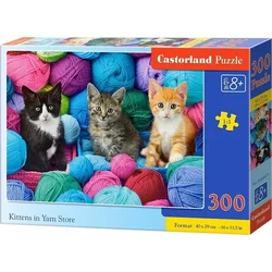 Castorland Puzzle Kittens v trgovini s prejo za pletenje 300 kosov