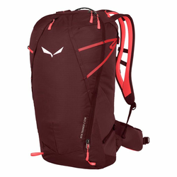 RANAC SALEWA MTN TRAINER 2 22L
