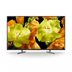 SONY televizor KD49XG8196BAEP LCD, 49