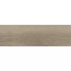Rainforest Taupe 20x60