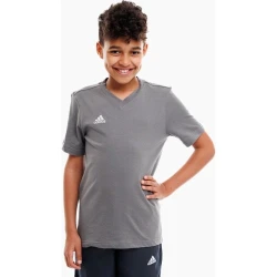 Adidas Majice siva XXS Entrada 22