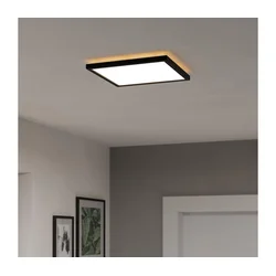 Eglo 901442-LED Plafonsko svetlo za kupatilo ROVITO 13,4W/230V 29x29cm IP44 crna