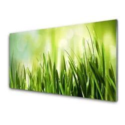 tulup.si Steklena slika Trava narava 140x70 cm 2 obešalnika