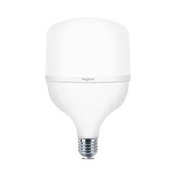 Braytron LED sijalica BRY-ADVANCE-20W-E27-T80-PLS-4000K