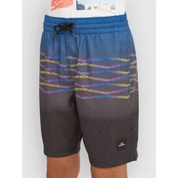 ONeill Print Kids kopalne hlače boys blue heritage fl fl