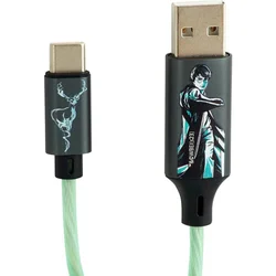 LAZERBUILT Harry Potter USB-C charg. ca.