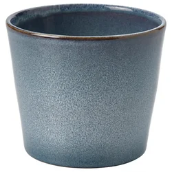 FJÄRILSBUSKE Saksija, unutra/spolja/plava, 12 cm