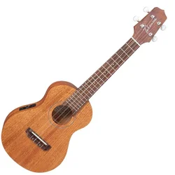 Takamine EGU-C1