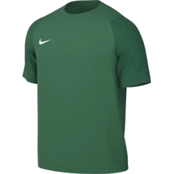 Nike Dres Dri-FIT Academy II