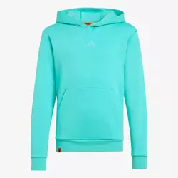 adidas Minecraft Terrex