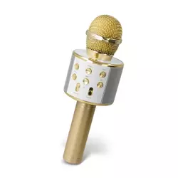 FOREVER mikrofon z bluetooth zvočnikom BMS-300 (za karaoke)