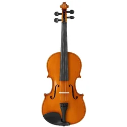 Valencia VA100 14 Viola
