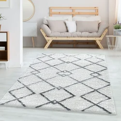 Conceptum Hypnose Tepih Pisa 4701, 60 x 110cm, Krem
