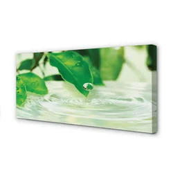 tulup.si Slika na platnu Kapljice listi vodo 100x50 cm