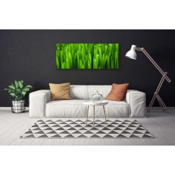 tulup.si Slika na platnu Grass nature rastlin 120x60 cm