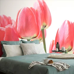 Fototapeta rdeči poljski tulipani - 343x231