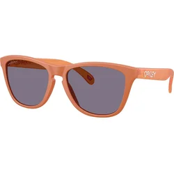 Oakley Frogskins OO9013 9013M1 55
