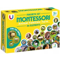 Montesori set sa magnetima farma 36pcs ( 104/200271 )