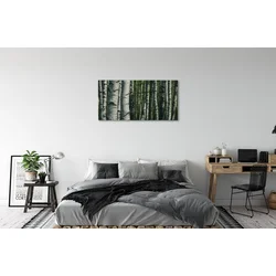 tulup.si Slika na platnu Breza gozd 100x50 cm