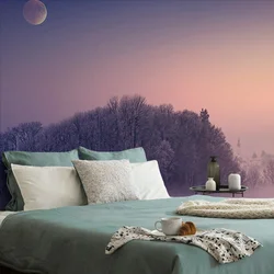 Tapeta polna luna nad vasjo - 147x270
