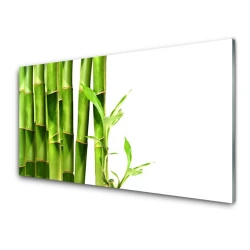 tulup.si Steklena slika Bamboo rastlin 140x70 cm 2 obešalnika
