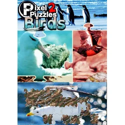 Pixel Puzzles 2: Birds Steam Key GLOBAL