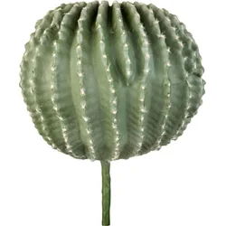 Lene Bjerre Okrogli kaktus FLORA