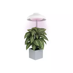 Emos LED lampa za uzgoj biljaka 5 W, 15 dioda, 235 lm, tajmer, USB, Z7901
