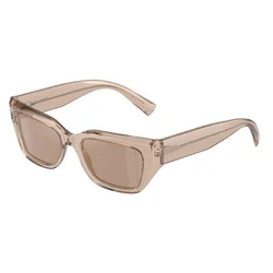 Dolce & Gabbana Naočare za sunce DG 4462 34325A