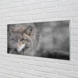 tulup.si Steklena slika Wolf 120x60 cm 4 obešalnika