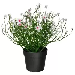 FEJKA Veštačka biljka u saksiji, unutra/spolja/šlajer bela, 9 cm