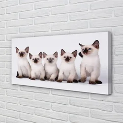 tulup.si Slika na platnu Majhne mačke 100x50 cm