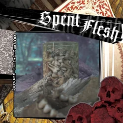 Spent Flesh - Deviant Burial Customs (LP)