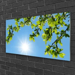 tulup.si Steklena slika Sonce narava 100x50 cm 2 obešalnika