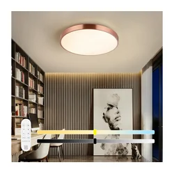 Immax NEO 07322L-LED prigušiva stropna svetiljka NEO LITE SEMPLICI 60W/230V pr.60cm bakarna+daljinski upravljač