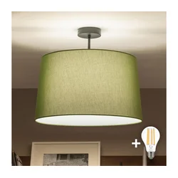 Brilagi - LED plafonski luster CERIA 1xE27/60W/230V prečnik 45 cm crna/zelena